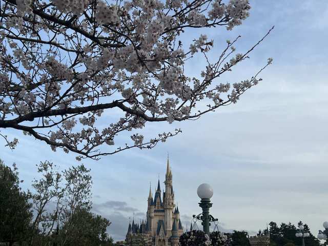 春ディズニー行ってきました！R4.04.06