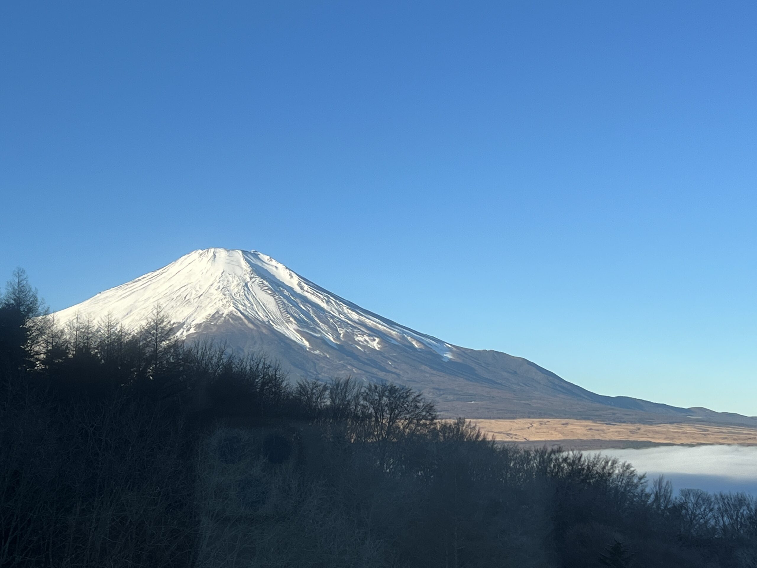 新年明けましておめでとうございます。R5.01.10