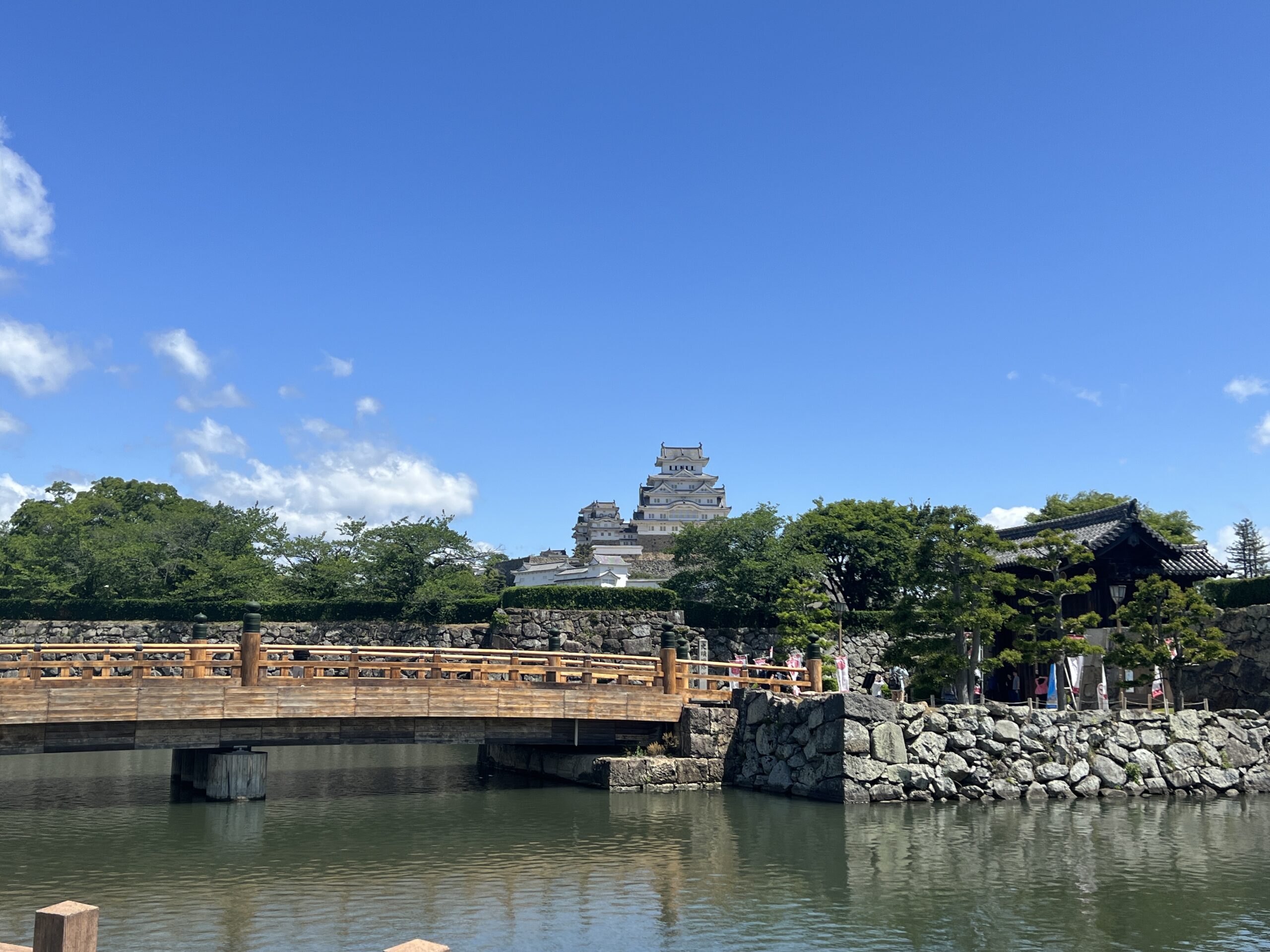 社員旅行で神戸に行きました③R5.06.01