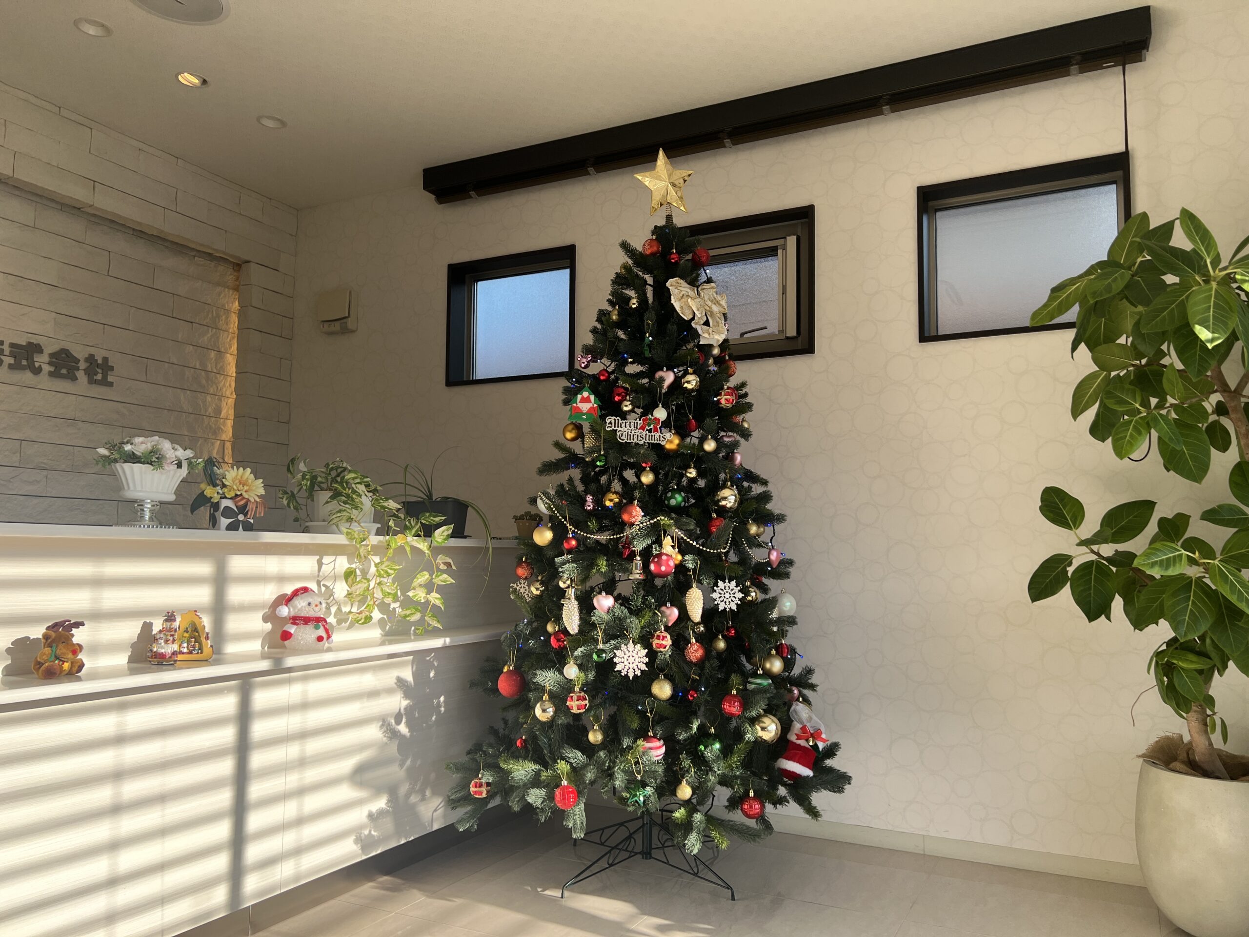 クリスマスツリーを会社に飾りました！R5.11.30